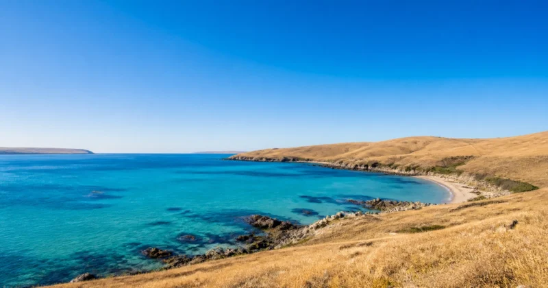 South Australia 190 and 491 Nominations: Get Ready for the Reported 26 August Reopening